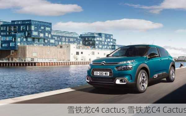 雪铁龙c4 cactus,雪铁龙C4 Cactus