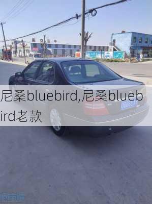 尼桑bluebird,尼桑bluebird老款