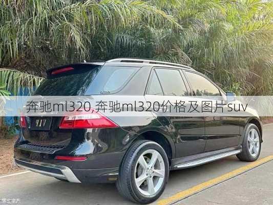 奔驰ml320,奔驰ml320价格及图片suv