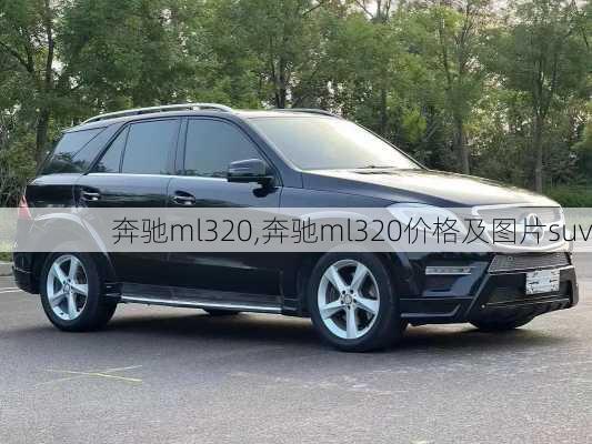 奔驰ml320,奔驰ml320价格及图片suv