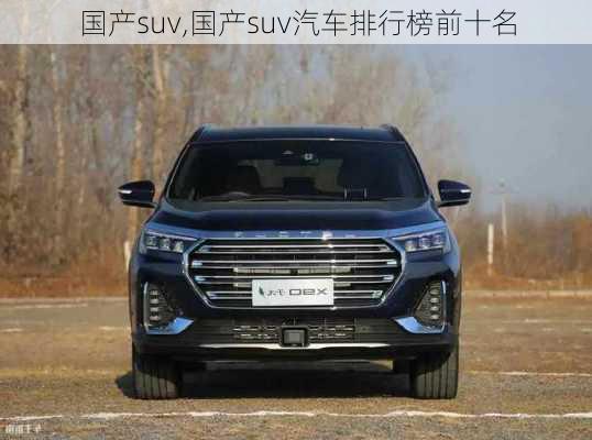 国产suv,国产suv汽车排行榜前十名