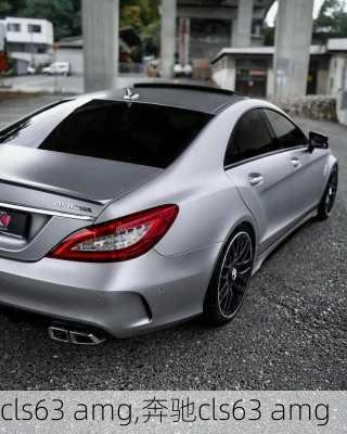 cls63 amg,奔驰cls63 amg