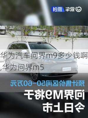 华为汽车问界m9多少钱啊,华为问界m5