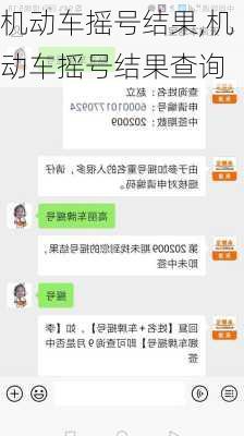 机动车摇号结果,机动车摇号结果查询