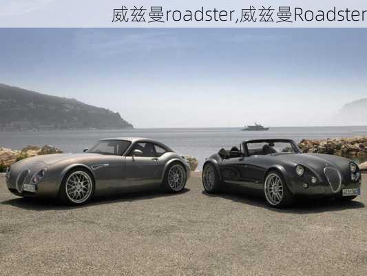 威兹曼roadster,威兹曼Roadster