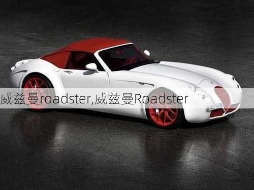 威兹曼roadster,威兹曼Roadster