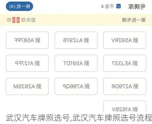武汉汽车牌照选号,武汉汽车牌照选号流程