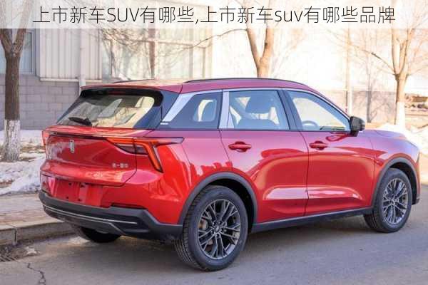 上市新车SUV有哪些,上市新车suv有哪些品牌