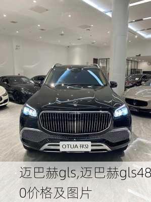 迈巴赫gls,迈巴赫gls480价格及图片