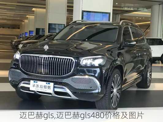 迈巴赫gls,迈巴赫gls480价格及图片