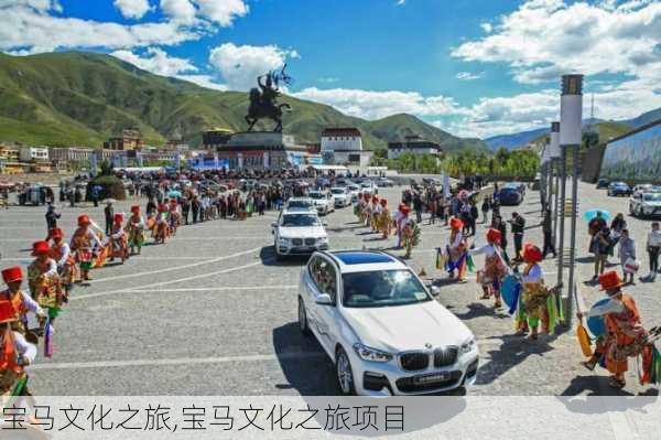 宝马文化之旅,宝马文化之旅项目