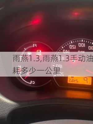 雨燕1.3,雨燕1.3手动油耗多少一公里