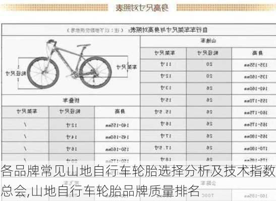 各品牌常见山地自行车轮胎选择分析及技术指数总会,山地自行车轮胎品牌质量排名