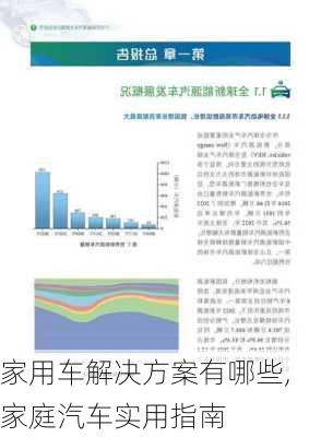 家用车解决方案有哪些,家庭汽车实用指南