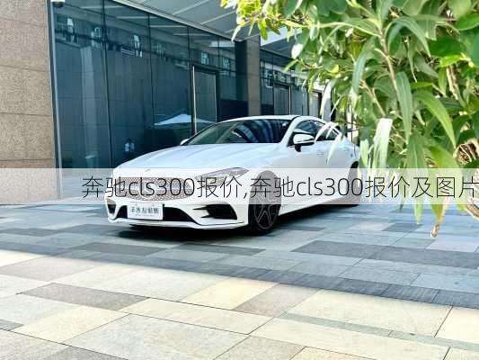 奔驰cls300报价,奔驰cls300报价及图片