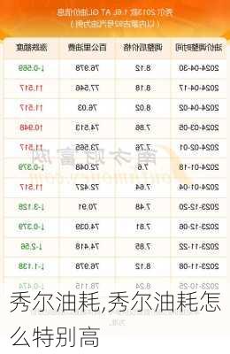 秀尔油耗,秀尔油耗怎么特别高
