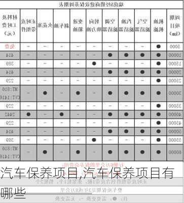 汽车保养项目,汽车保养项目有哪些