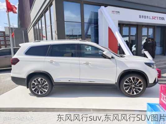 东风风行suv,东风风行SUV图片