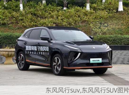 东风风行suv,东风风行SUV图片