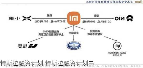 特斯拉融资计划,特斯拉融资计划书