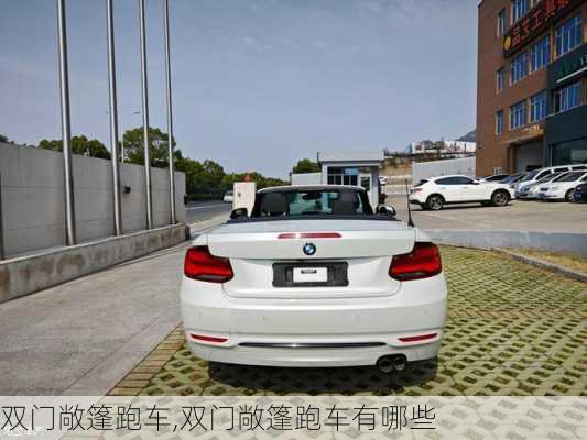 双门敞篷跑车,双门敞篷跑车有哪些