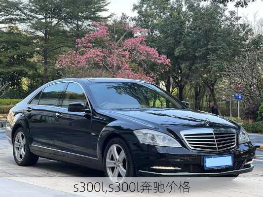 s300l,s300l奔驰价格