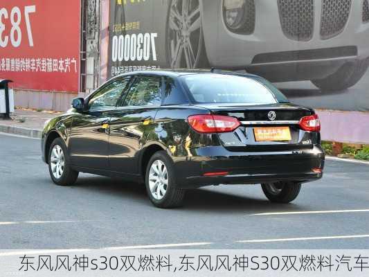 东风风神s30双燃料,东风风神S30双燃料汽车