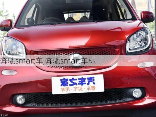 奔驰smart车,奔驰smart车标