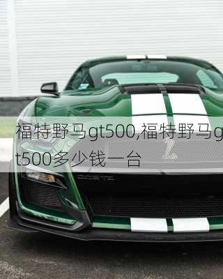 福特野马gt500,福特野马gt500多少钱一台