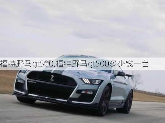 福特野马gt500,福特野马gt500多少钱一台