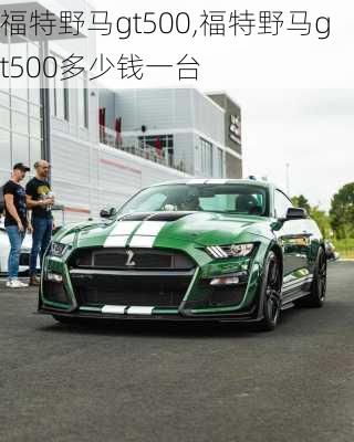 福特野马gt500,福特野马gt500多少钱一台