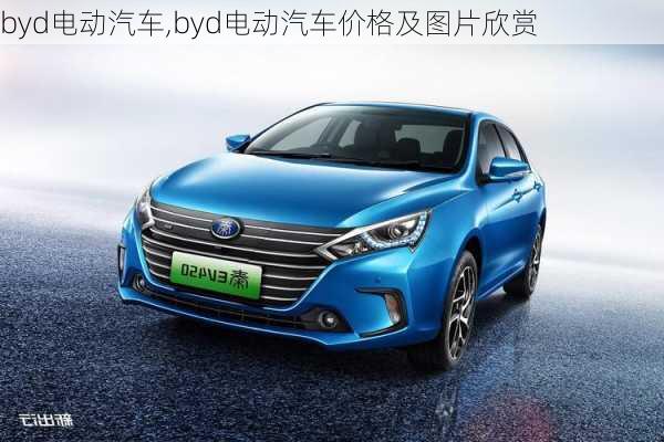 byd电动汽车,byd电动汽车价格及图片欣赏