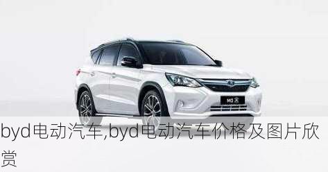 byd电动汽车,byd电动汽车价格及图片欣赏