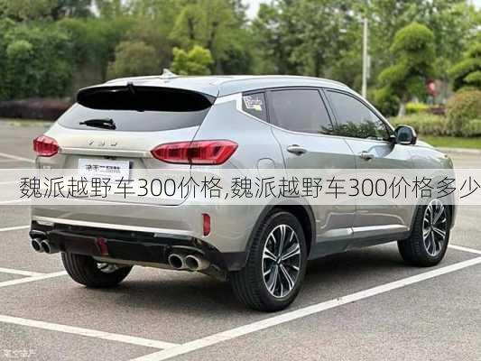 魏派越野车300价格,魏派越野车300价格多少