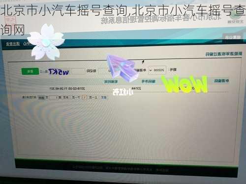 北京市小汽车摇号查询,北京市小汽车摇号查询网