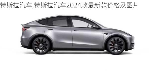 特斯拉汽车,特斯拉汽车2024款最新款价格及图片