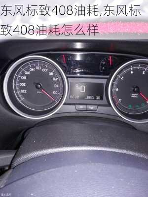 东风标致408油耗,东风标致408油耗怎么样