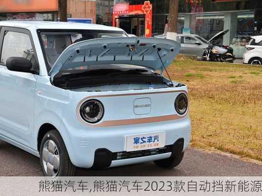 熊猫汽车,熊猫汽车2023款自动挡新能源