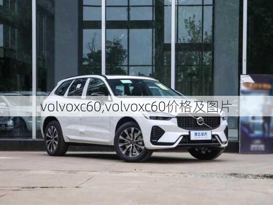 volvoxc60,volvoxc60价格及图片