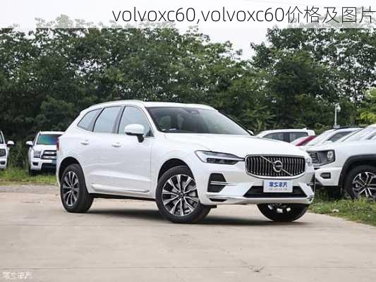 volvoxc60,volvoxc60价格及图片