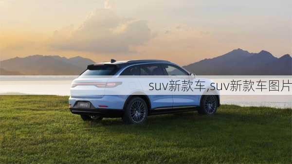 suv新款车,suv新款车图片