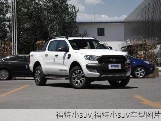 福特小suv,福特小suv车型图片