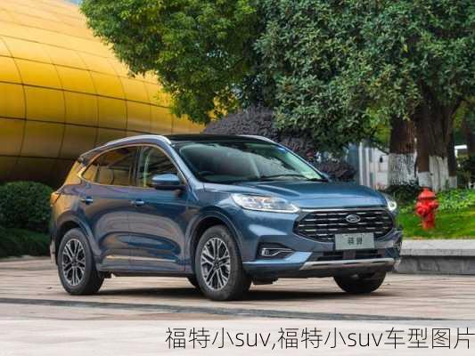 福特小suv,福特小suv车型图片