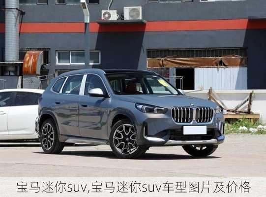 宝马迷你suv,宝马迷你suv车型图片及价格