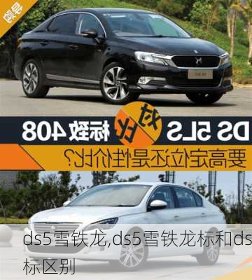 ds5雪铁龙,ds5雪铁龙标和ds标区别