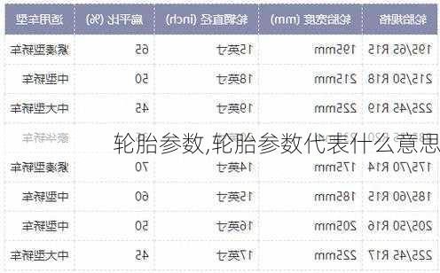 轮胎参数,轮胎参数代表什么意思