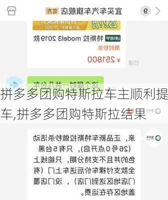 拼多多团购特斯拉车主顺利提车,拼多多团购特斯拉结果