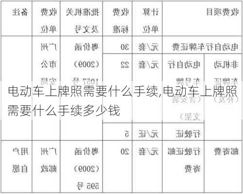 电动车上牌照需要什么手续,电动车上牌照需要什么手续多少钱