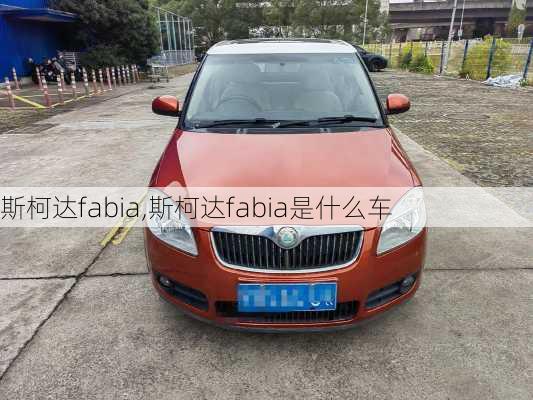 斯柯达fabia,斯柯达fabia是什么车