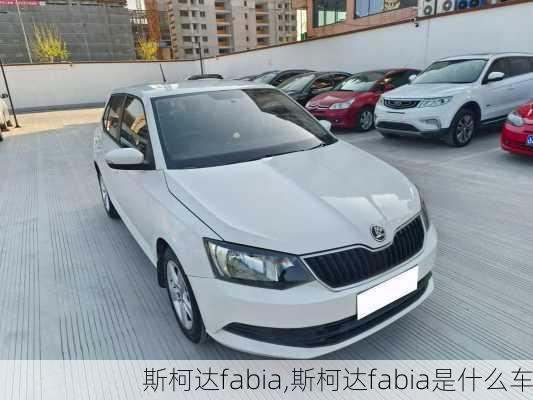 斯柯达fabia,斯柯达fabia是什么车